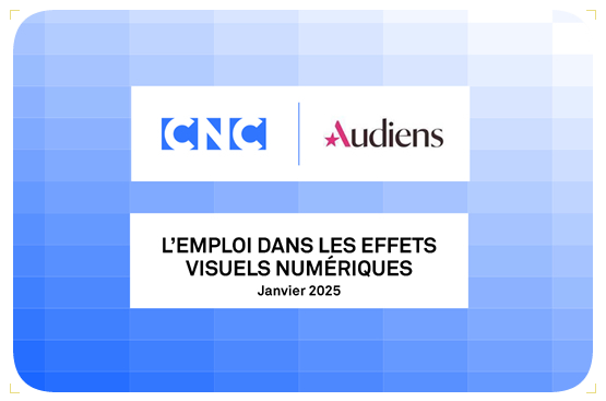 rapport_Audiens_CNC_emploi_VFX_jan2025_ok